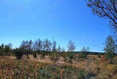 TEREN INTRAVILAN ?I EXTRAVILAN BAIA DE FIER - 3