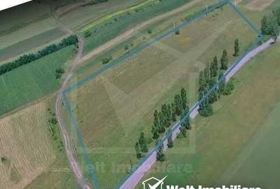 Oportuinitate investitie|Teren intravilan hale 2,5 ha Tureni | Nod rutier A3 - 3
