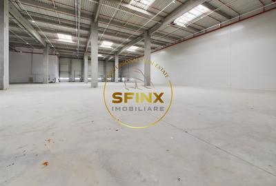 Spațiu industrial, de 2,200 mp, în Dragomirești-Deal - 7