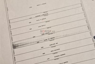 Teren agricol extravilan de 5000 mp, în Tâncăbești - 3