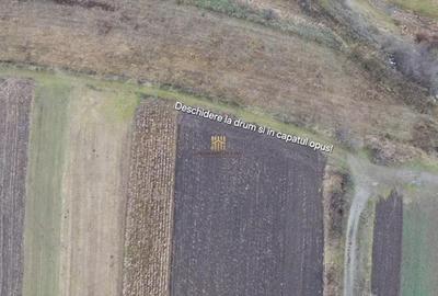 Teren de 14066 mp, în Mihoveni - 6
