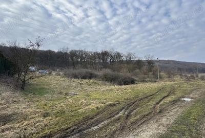 Teren de 600 mp, în Corunca - 3