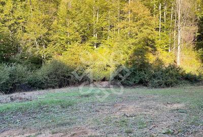 Teren pentru casa de vacanta pe Valea Bratcutei, Bihor - 8