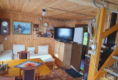 Cabana de lemn cu teren 760 mp de vanzare in Coada Lacului - Bihor - 12