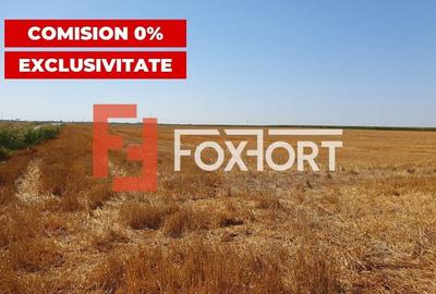 COMISION 0% Teren extravilan 4,47 ha, 800m front stradal, Peciu Nou - ID V5491