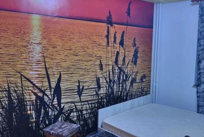 Apartament cu 4 camere semidecomandat în Dristor - 5