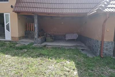 Casă cu 5 camere cu Teren 200000 Mp în Șerel - 11