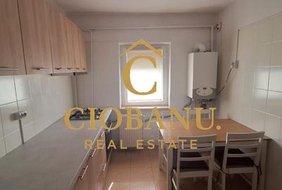 Apartament 2 camere de inchiriat zona Brazda lui Novac - 6