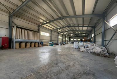 Spațiu comercial, de 5,540 mp, în Primăverii - 20