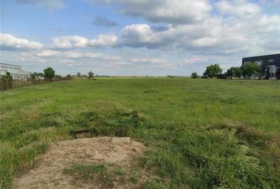 Teren de 8000 mp, în Măgurele