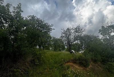 Teren de 30 mp, în Preluca Veche - 6