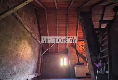 Vila Istorica de vanzare in Centru Timisoara 300 mp utili COMISION 0 - 5