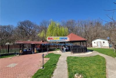 Vanzare vila Premium situata in sat Ordoreanu Comuna Clinceni. - 4