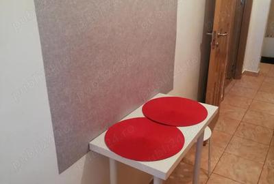 Garsonieră decomandată în Timișoara - 2