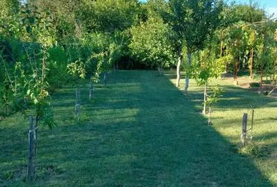 Vand casa in Lugoj, 135000de euro pre? fix! - 4