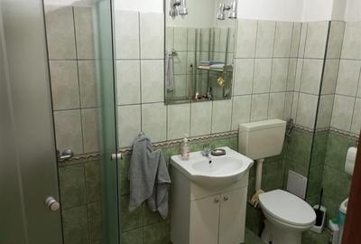 De vanzare casa mare , zona Brancoveanu, suprafata utile 350 mp - 11