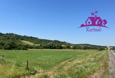 Teren de 1100 mp, în Hidiș - 6