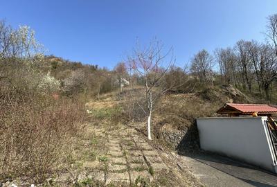 Teren de 756 mp, în Săsar - 2