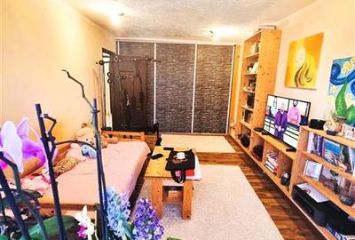 Apartament cu 3 camere decomandat, mobilat în Craiter - 4