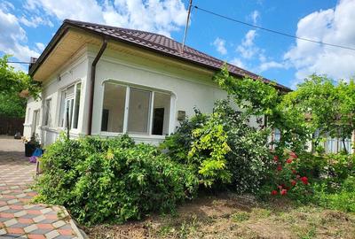 Casă cu 3 camere cu Teren 913 Mp în Dărăști-Vlașca - 8