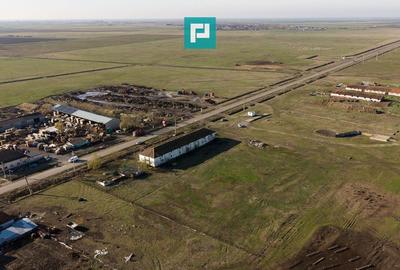 Hală industrială cu teren generos în Zărand, Arad - 25