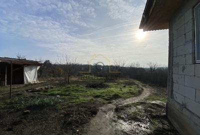 Casă individuală cu 4 camere cu Teren 1600 Mp în Petru Rareș - 7