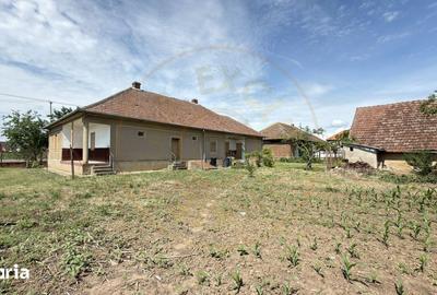 Casă cu 4 camere cu Teren 1955 Mp în Petrești - 11