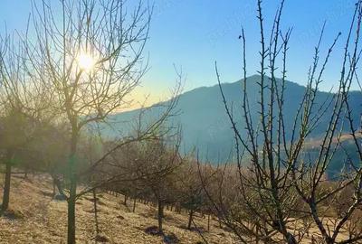 Teren în Buceș - 3