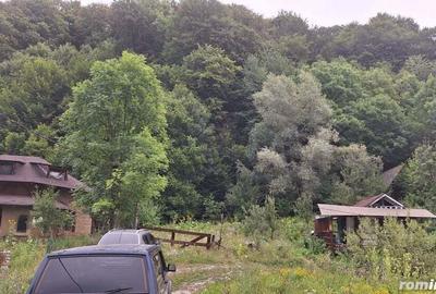 VANZARE ANSAMBLU CASUTE BRADULET ARGES - 4