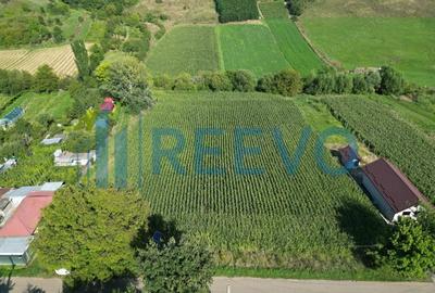 Teren intravilan de vanzare, Sat Bogdan?ti, Com. Traian - 8