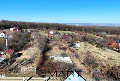 Spațiu comercial, în Cisnădioara - 3