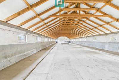 Spațiu industrial, de 765 mp, în Variaș - 14