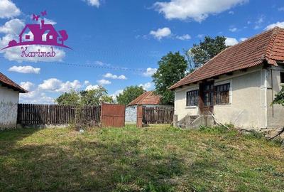 Casa in localitatea Carandeni - 4