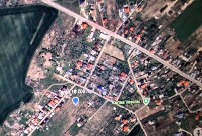 Teren Construcții intravilan de 16700 mp, în Balotești - 10