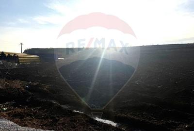 Teren agricol extravilan de 4956 mp, în Letea Veche - 6