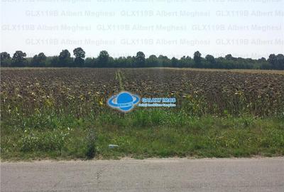 Teren Intravilan Herasti Giurgiu 2 HA - 2