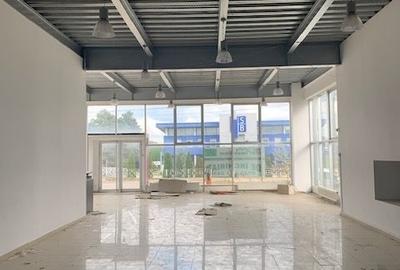 Calea Republicii spatiu industrial - hala de vanzare - 3