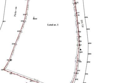 Inchiriez teren in Moieciu Brasov 2 lei mp - 1