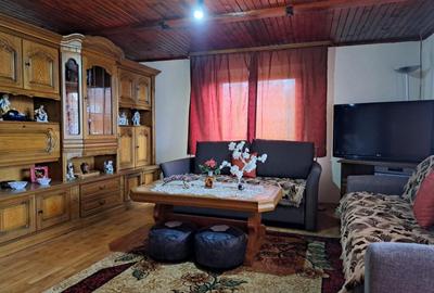 Casa mare cu 2 spatii comerciale, in Faget - 3