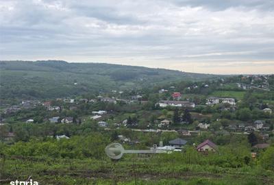 Teren de 2225 mp, în Rediu - 3