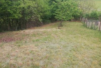 Casă cu 2 camere în Bratca - 5