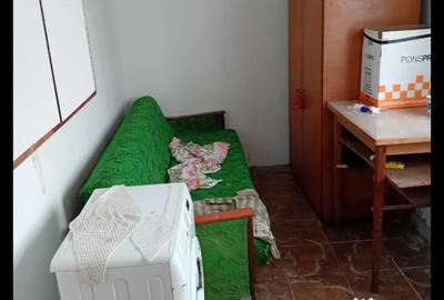 Apartament nedecomandat în Valea Rosie - 2