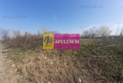 Teren Construcții intravilan de 4800 mp, în Glina - 6