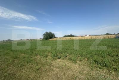 Teren de 1300 mp, în Păulești
