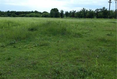 Teren de 11438 mp, în Hințești - 5