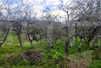 Spațiu comercial, în Gemenea-Brătulești - 5