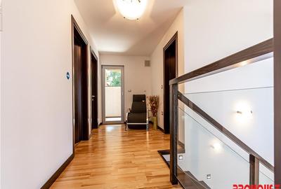 Magura - Barati - Rafinamentul este la el acasa! - 10