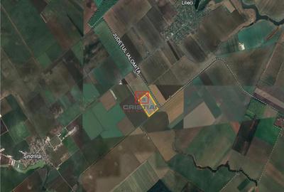 Teren Afumati - Sindrilita - DN2, ILFOV - 1