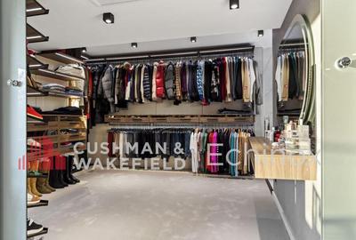 Vila moderna exclusivista I Vedere directa la Lacul Floreasca - 20