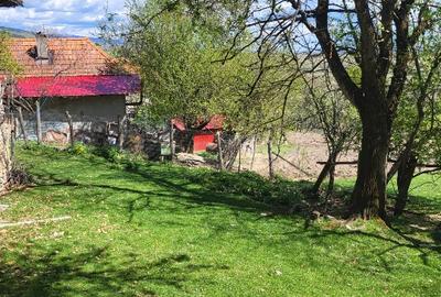 Vand 2 case batranesti Musetesti Gorj Vand 2 case batranesti Musetesti Gorj - 2